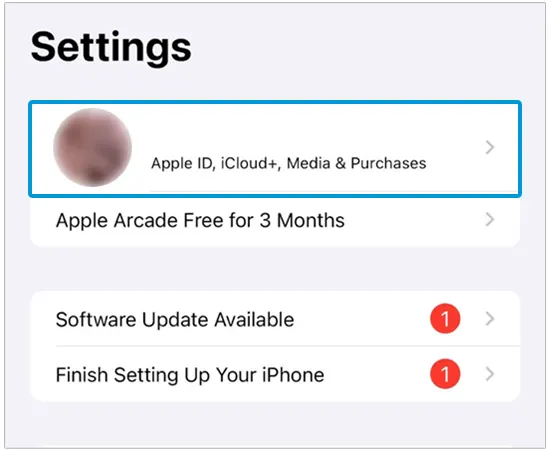 Go to the Settings on your iPhone, and hit the Apple ID.