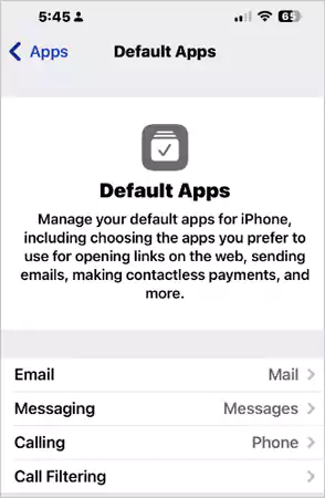 Default menu for Messages and calls in iOS 18 2